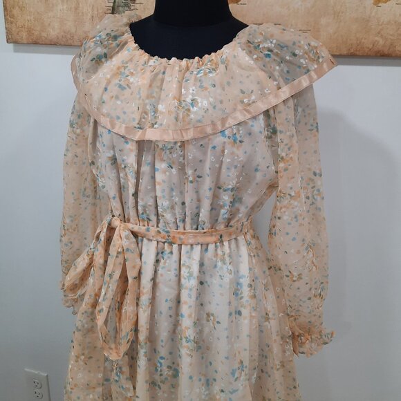 Vtg 60s handmade sheer peach gown - Picture 2 of 16